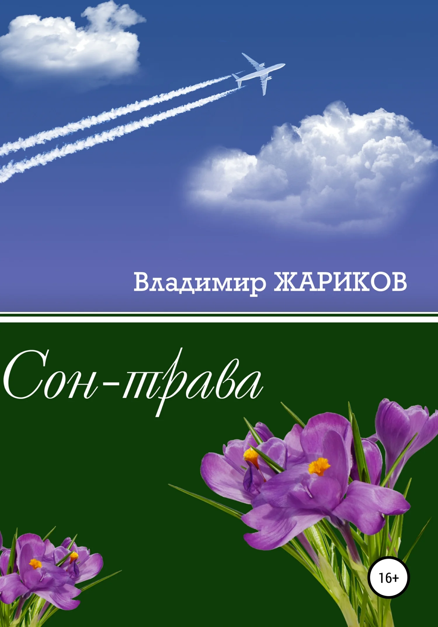Обложка Сон-трава