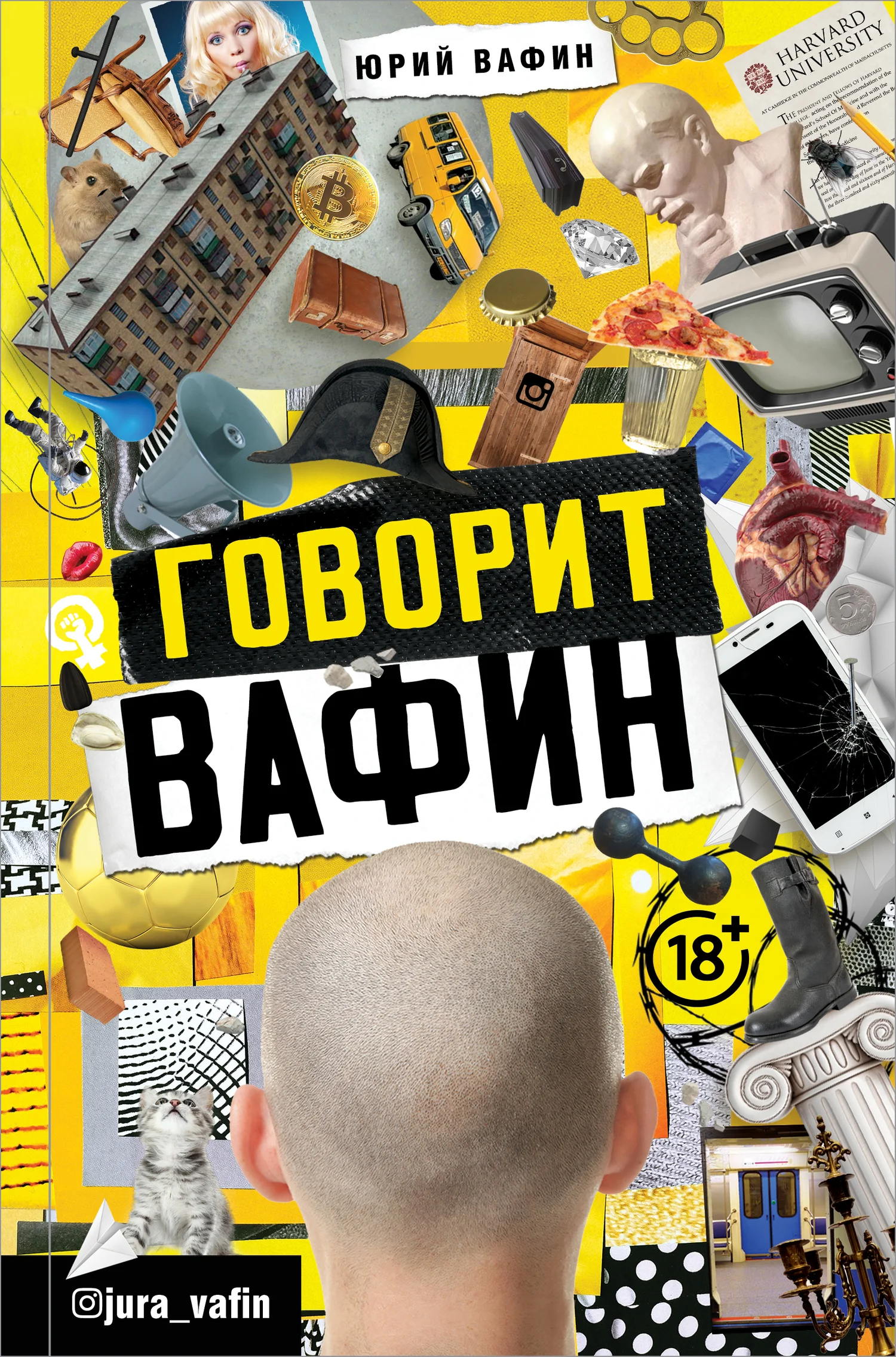 Обложка Говорит Вафин
