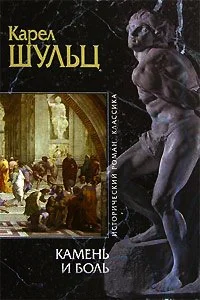 Обложка Камень и боль