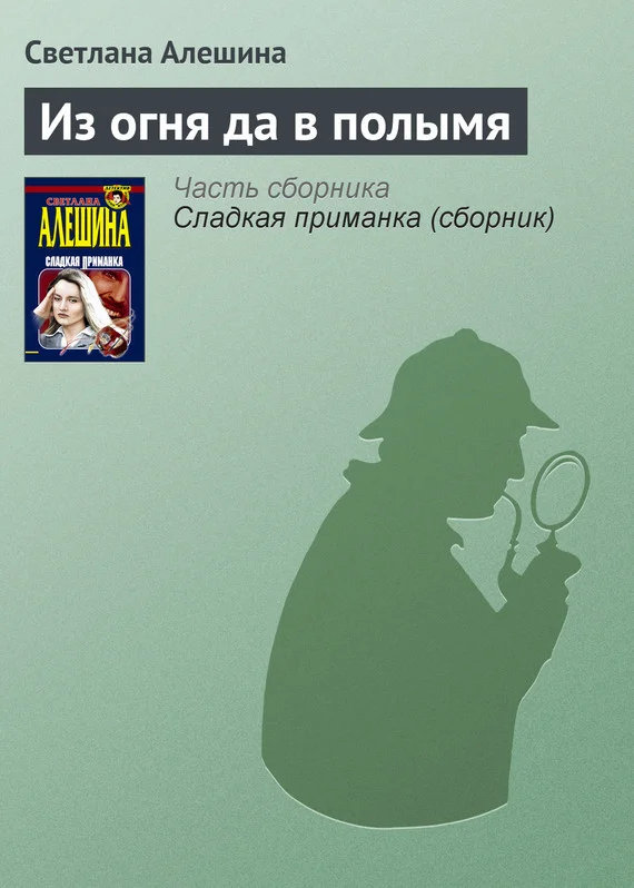 Обложка Из огня да в полымя
