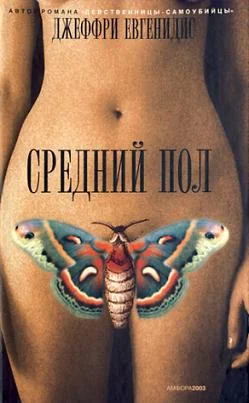 Обложка Средний пол