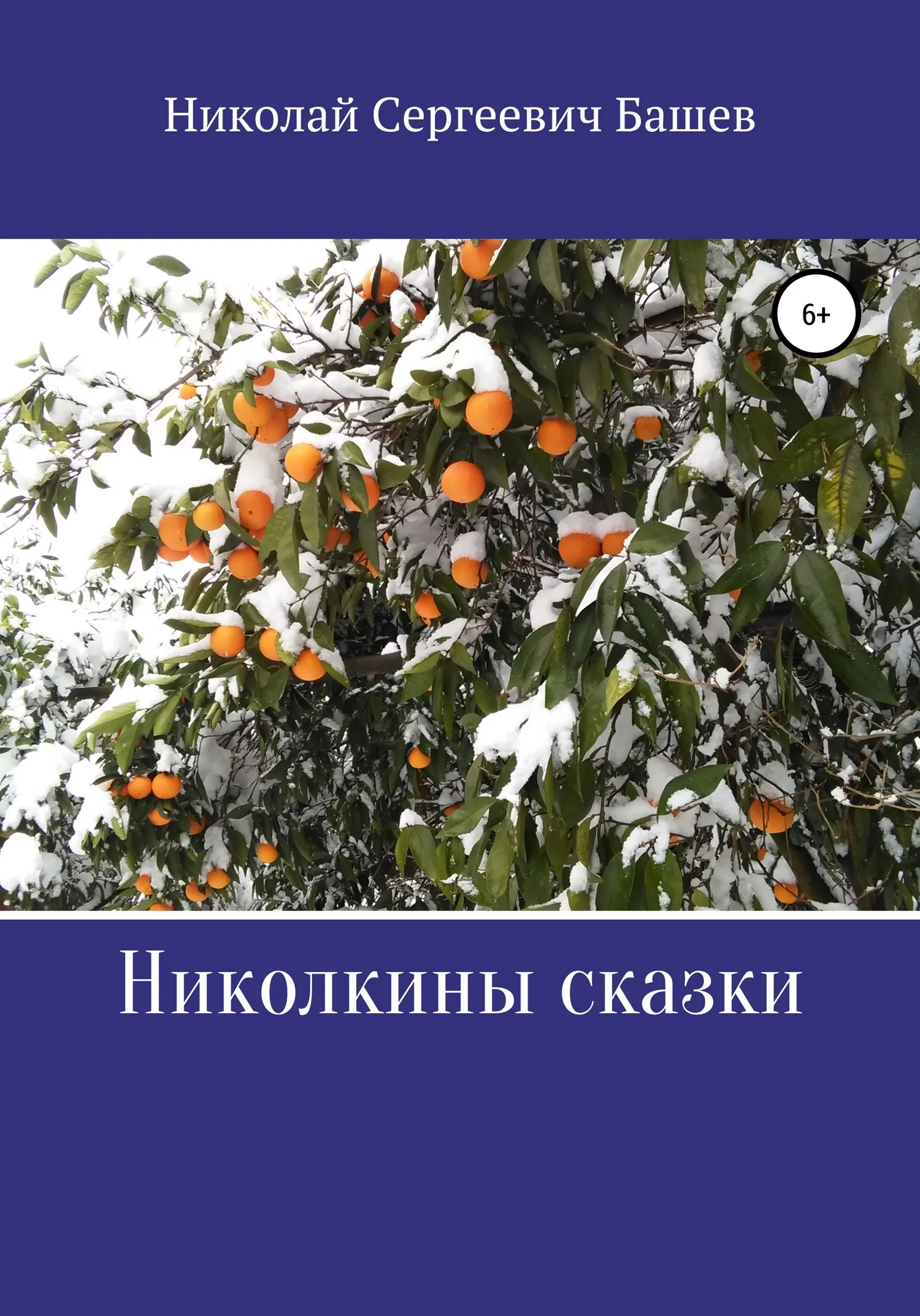 Обложка Николкины сказки
