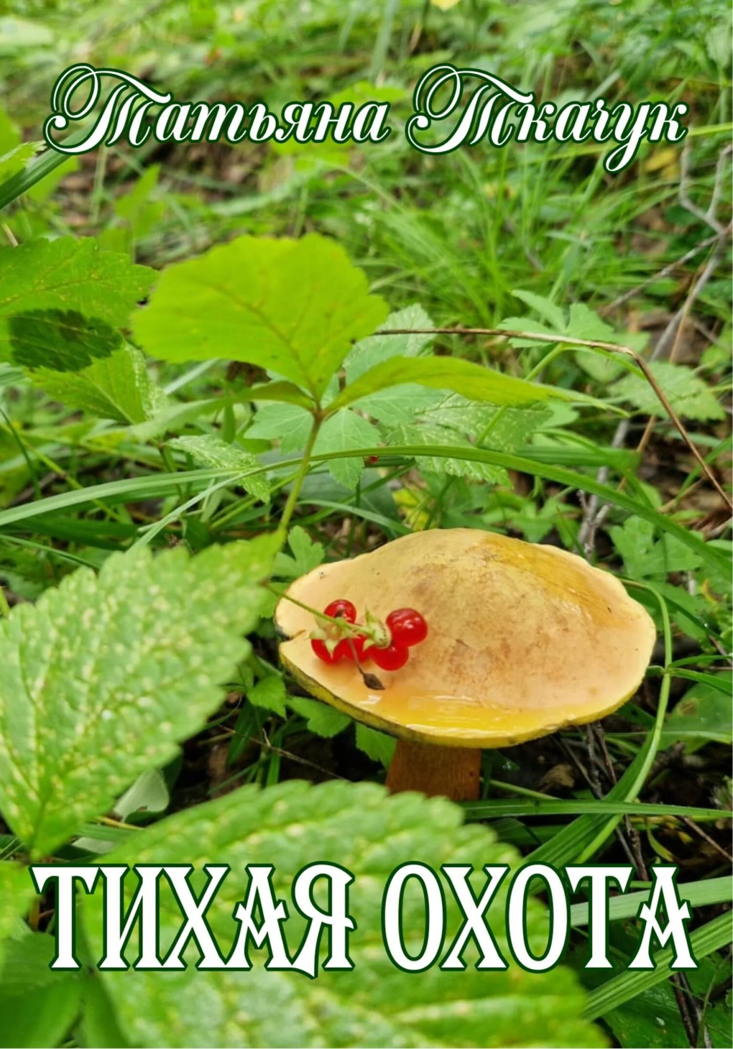 Обложка Тихая охота