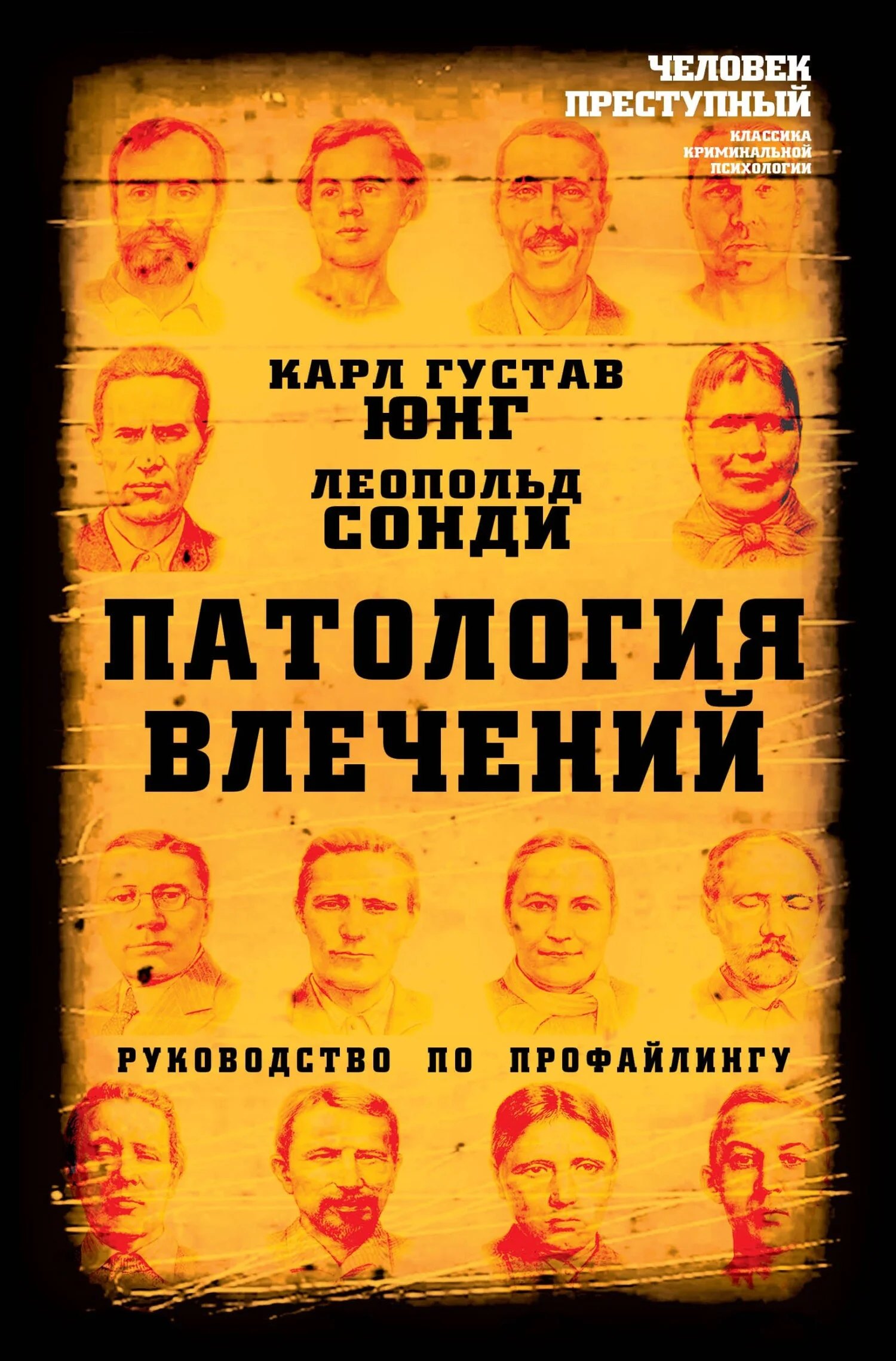 Обложка Патология влечений. Руководство по профайлингу