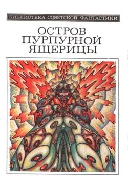 Обложка Бумеранг Зорича