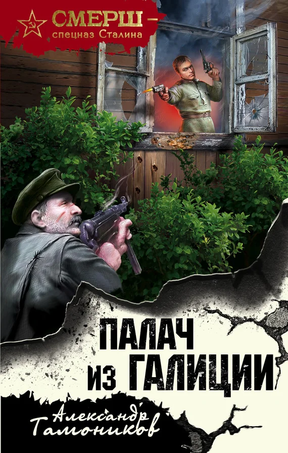 Обложка Палач из Галиции
