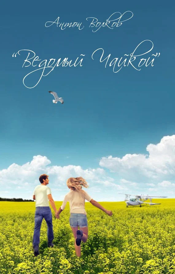 Обложка Ведомый чайкой