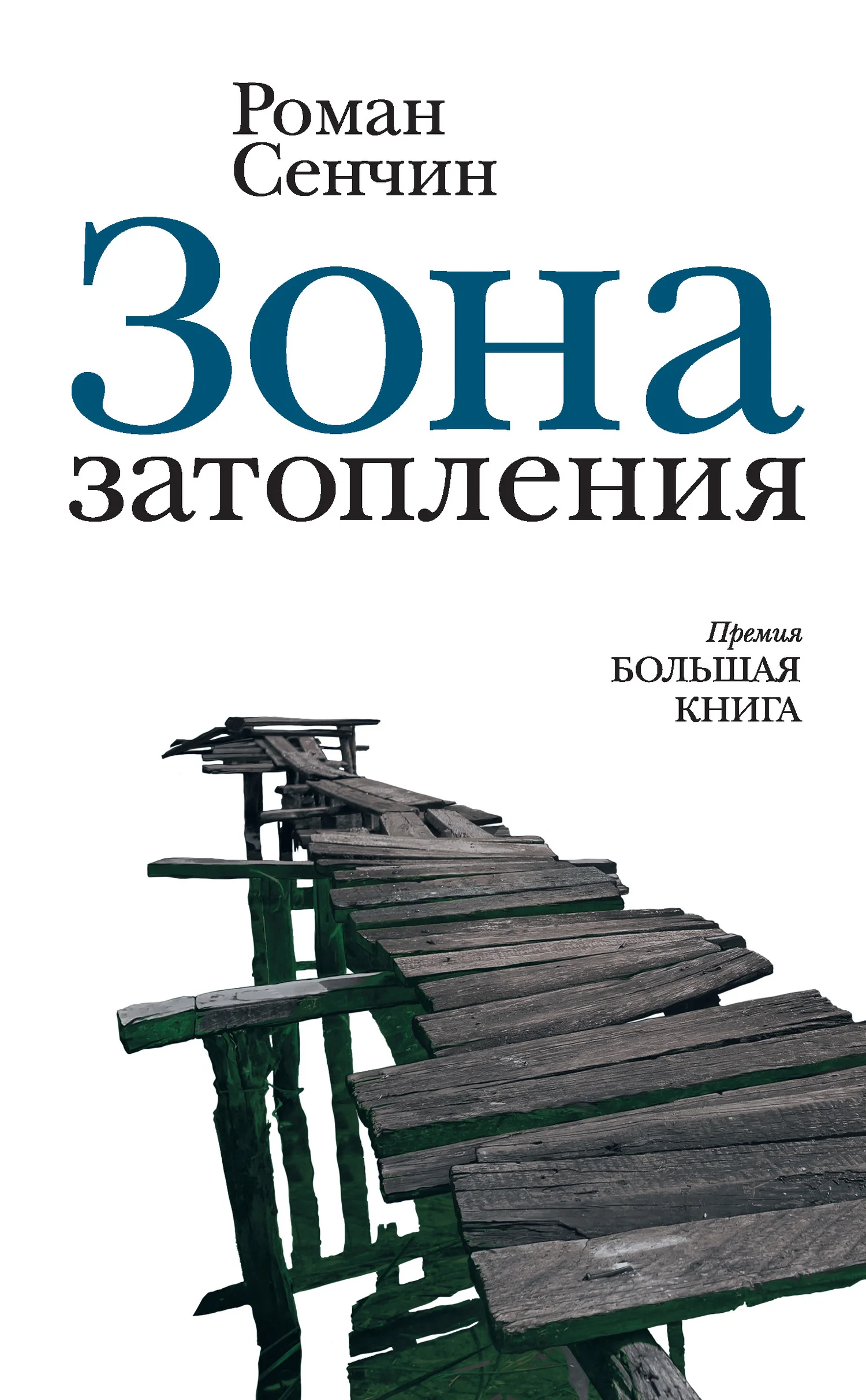 Обложка Зона затопления