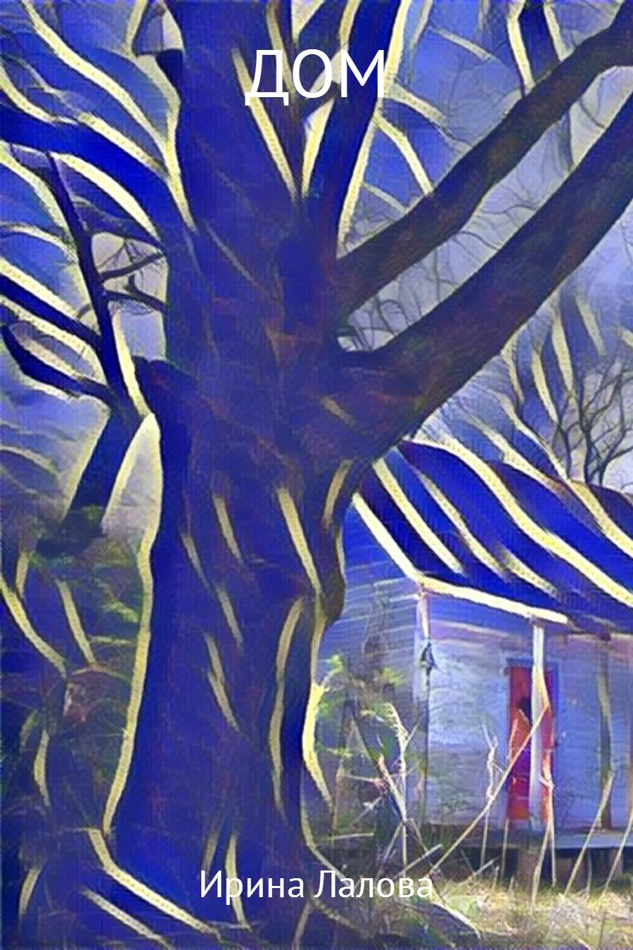 Обложка Дом