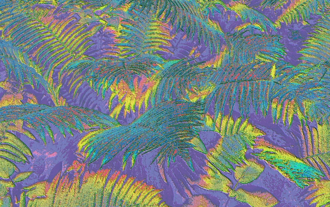 Обложка Два мира