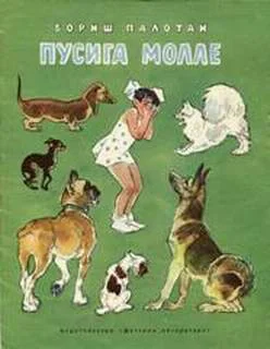 Обложка Пусига Молле
