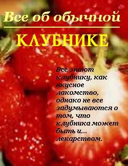 Обложка Все об обычной клубнике