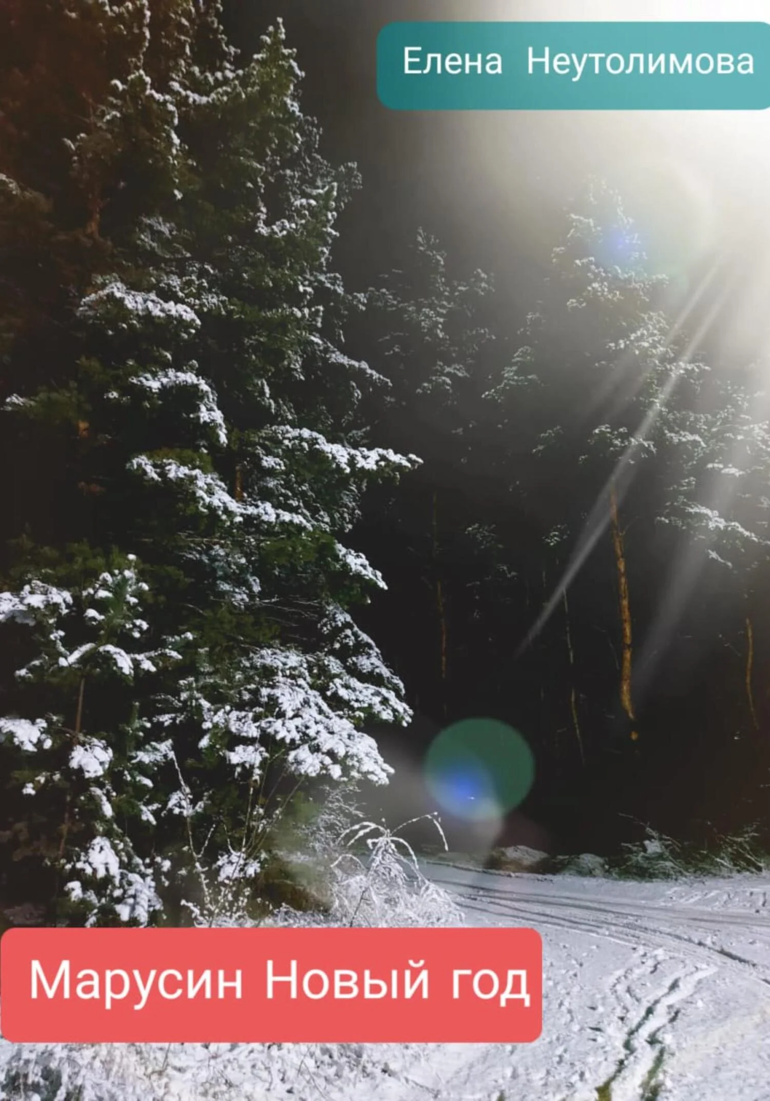 Обложка Марусин Новый год