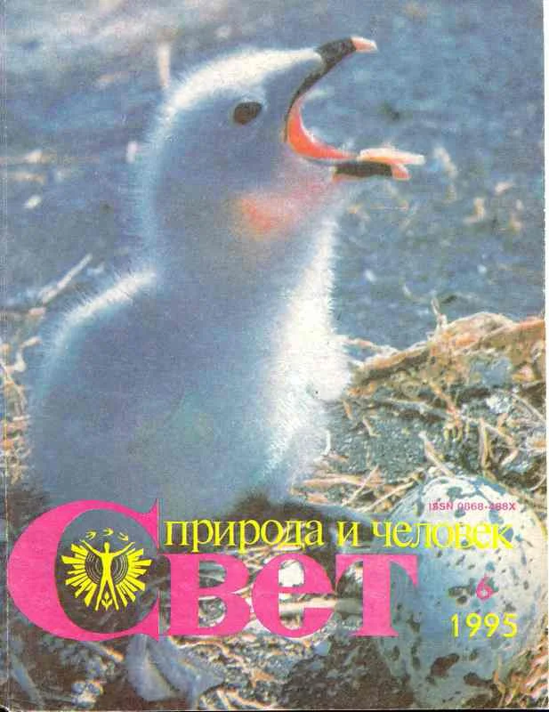 Обложка «Золотой охотник»