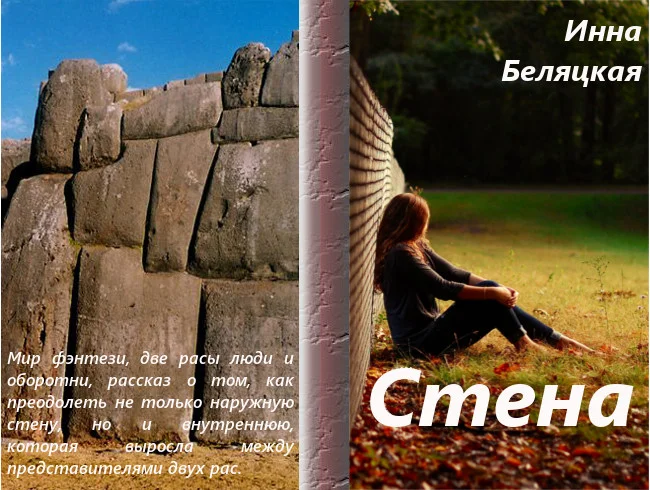 Обложка Стена (СИ)