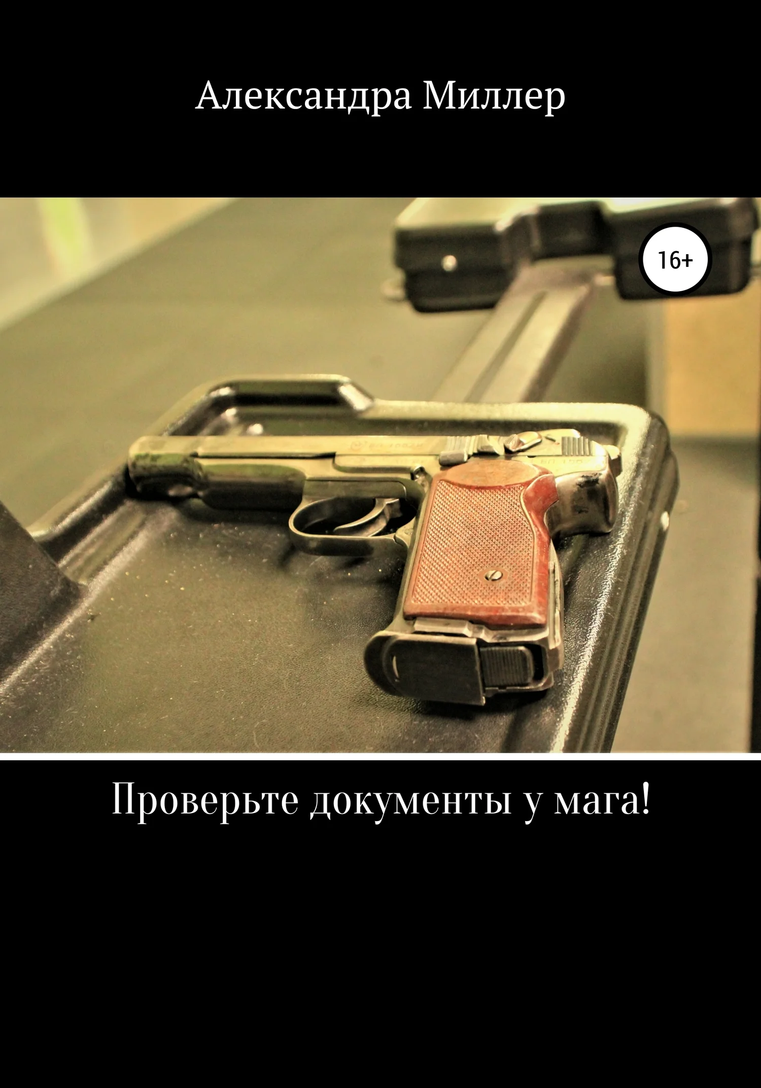Обложка Проверьте документы у мага!