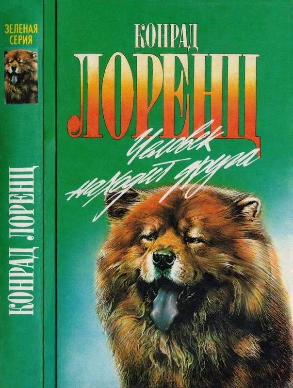 Обложка Человек находит друга. Кольцо царя Соломона