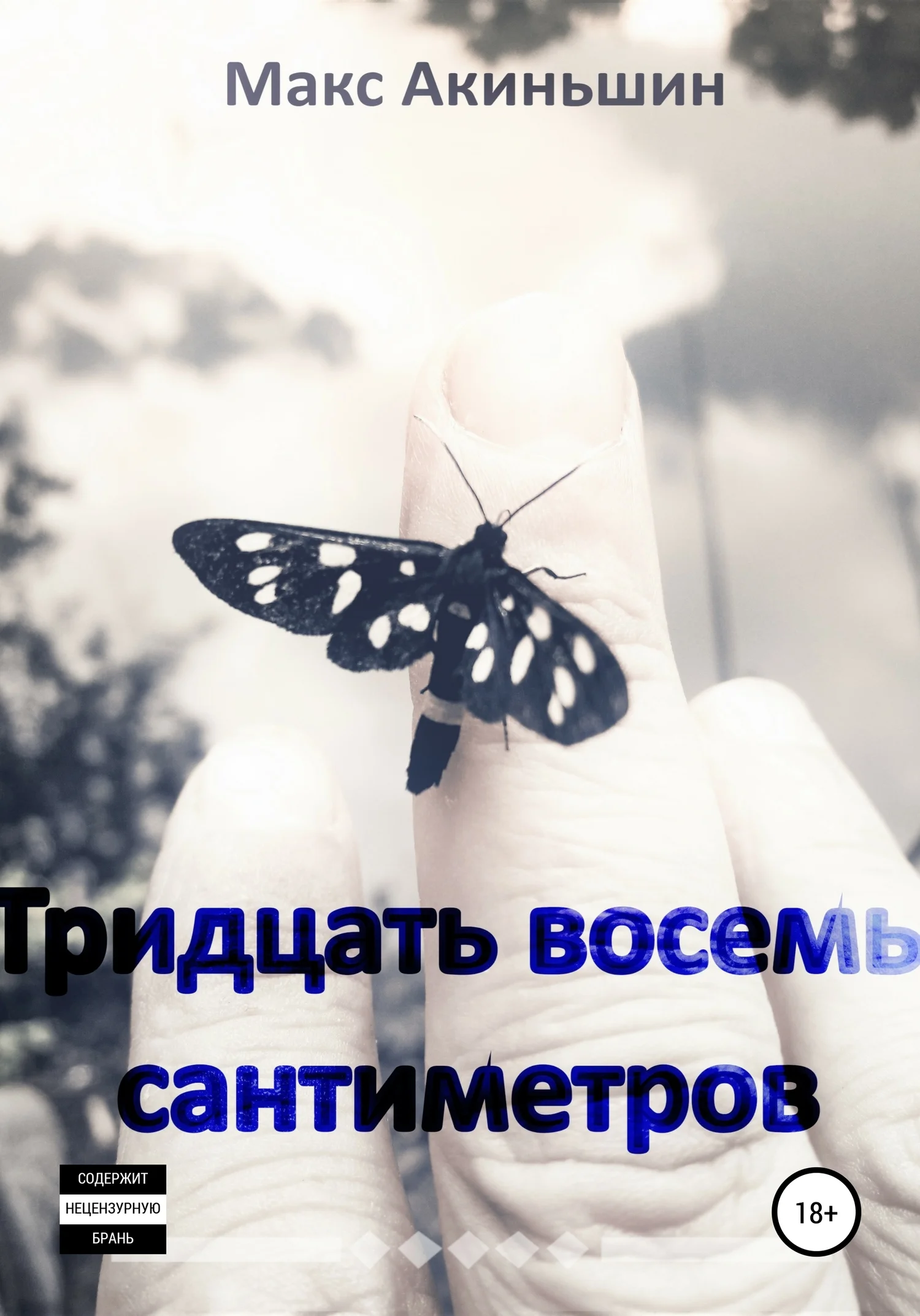 Обложка Тридцать восемь сантиметров
