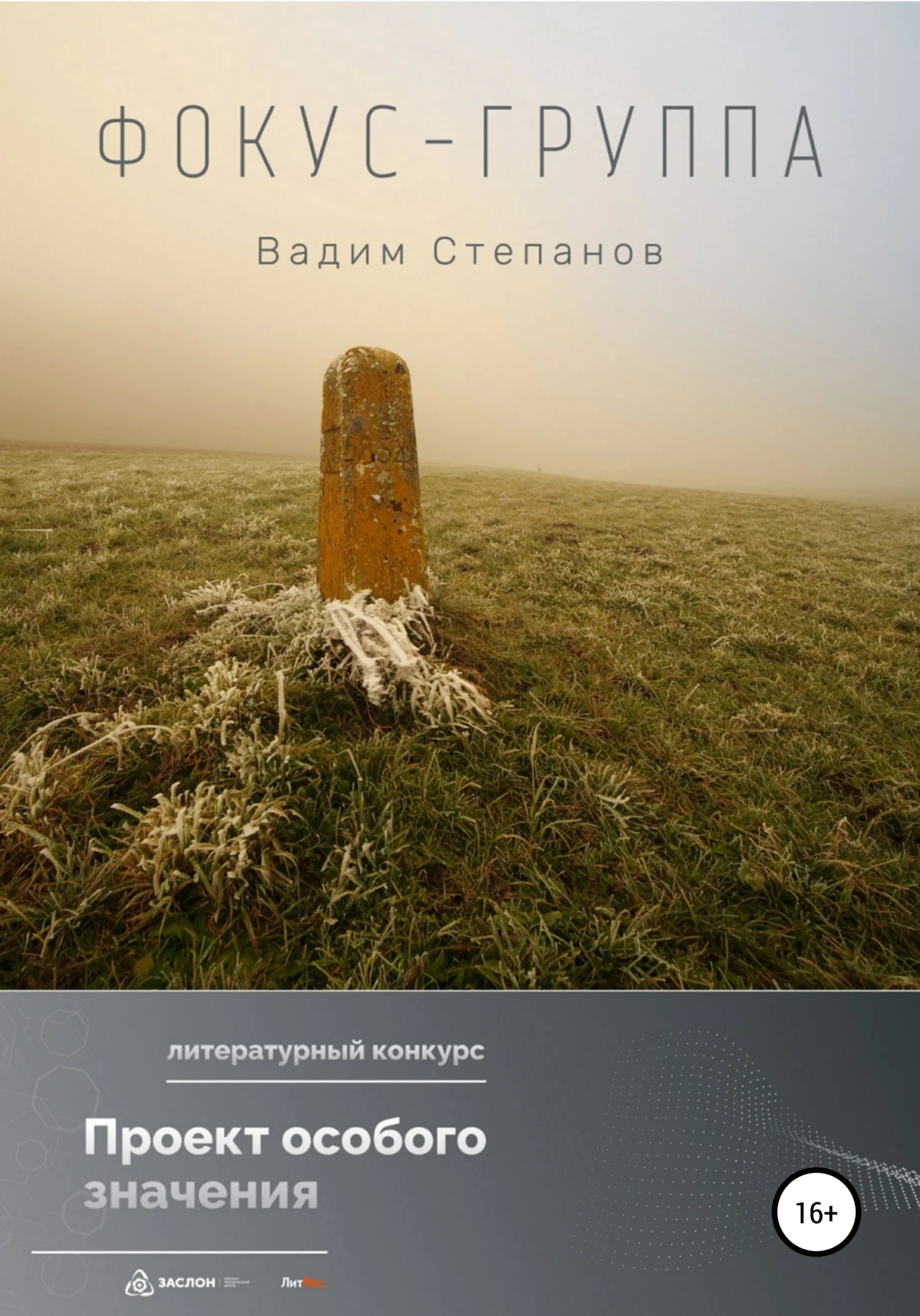 Обложка Фокус-группа