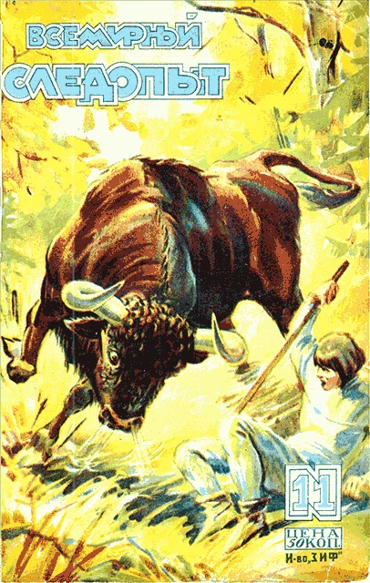 Обложка Всемирный следопыт, 1929 № 11