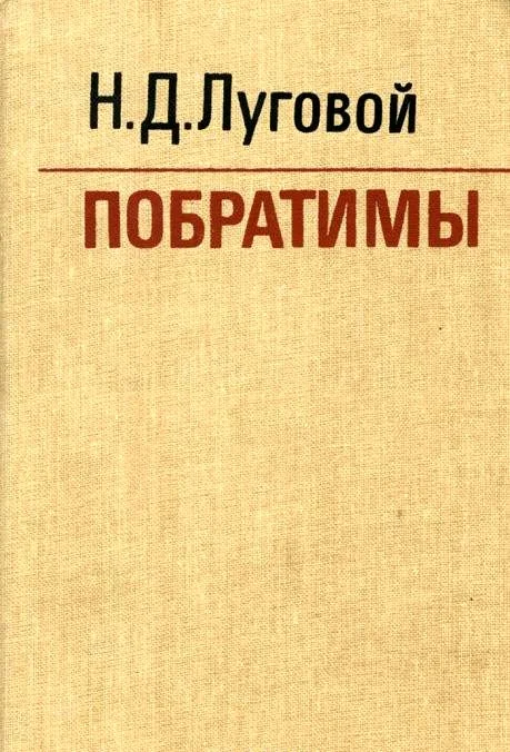 Обложка Побратимы
