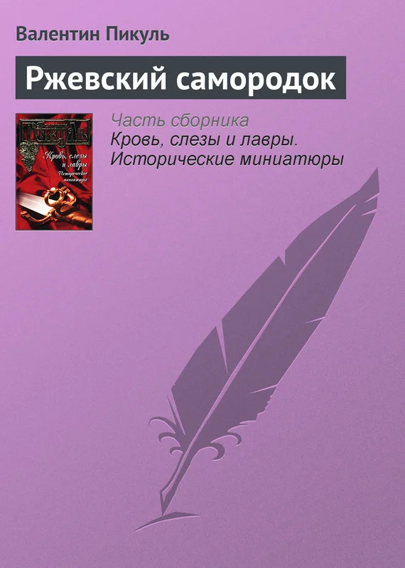 Обложка Ржевский самородок