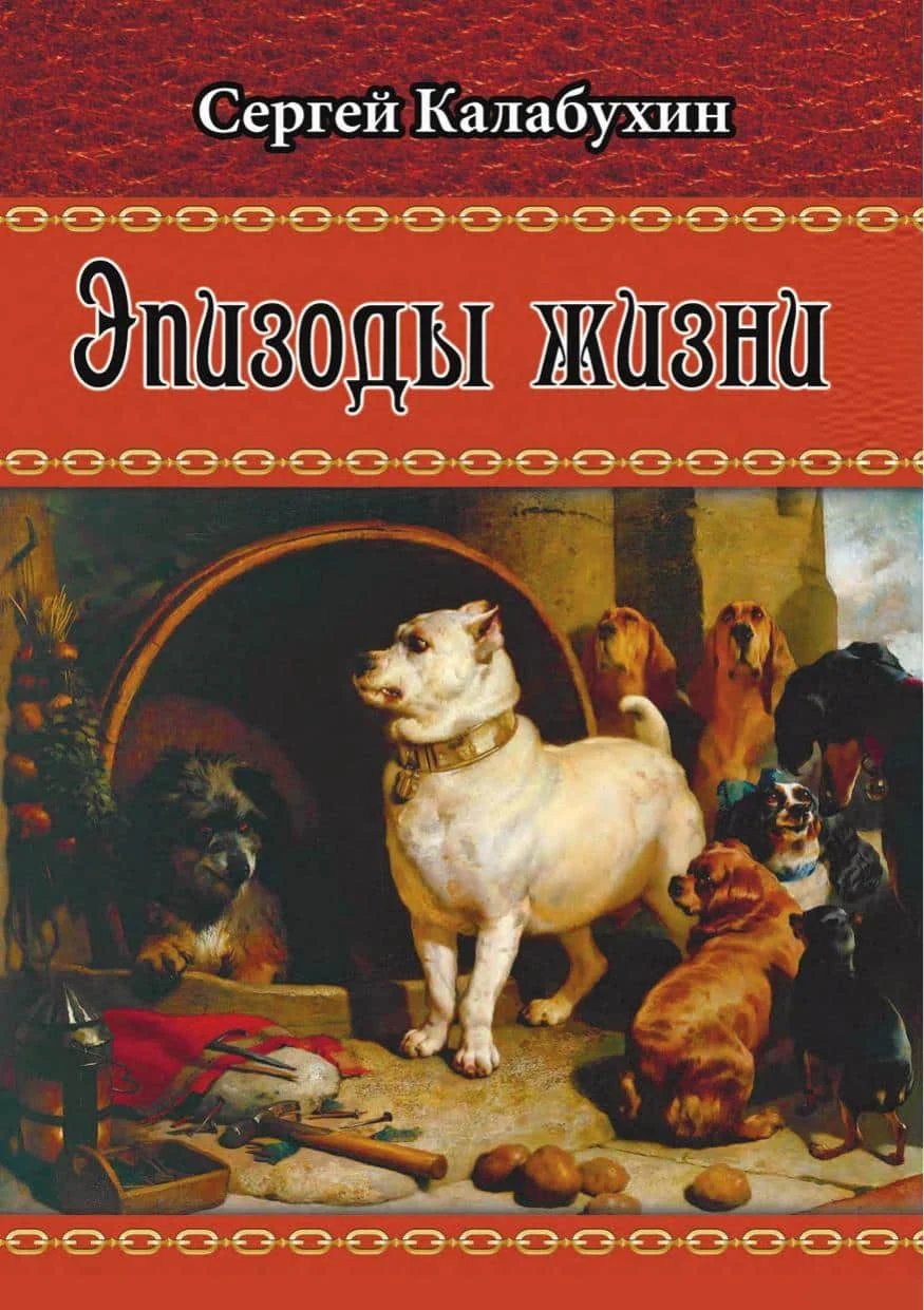 Обложка Эпизоды жизни