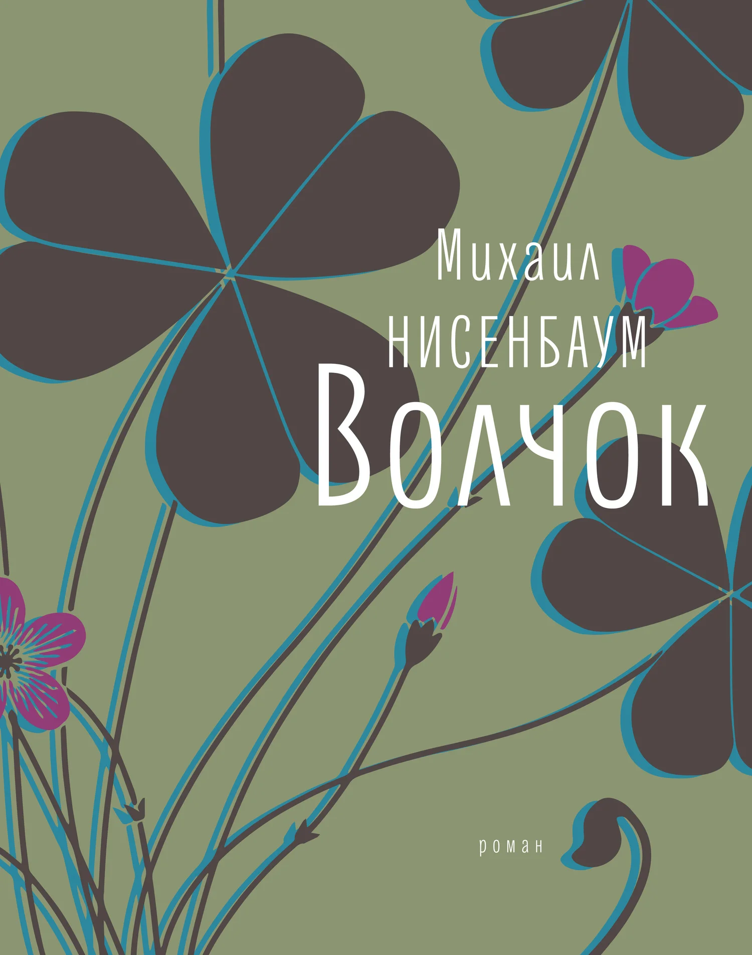 Обложка Волчок