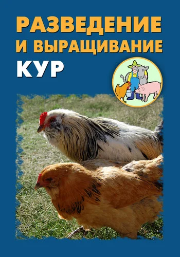 Обложка Разведение и выращивание кур