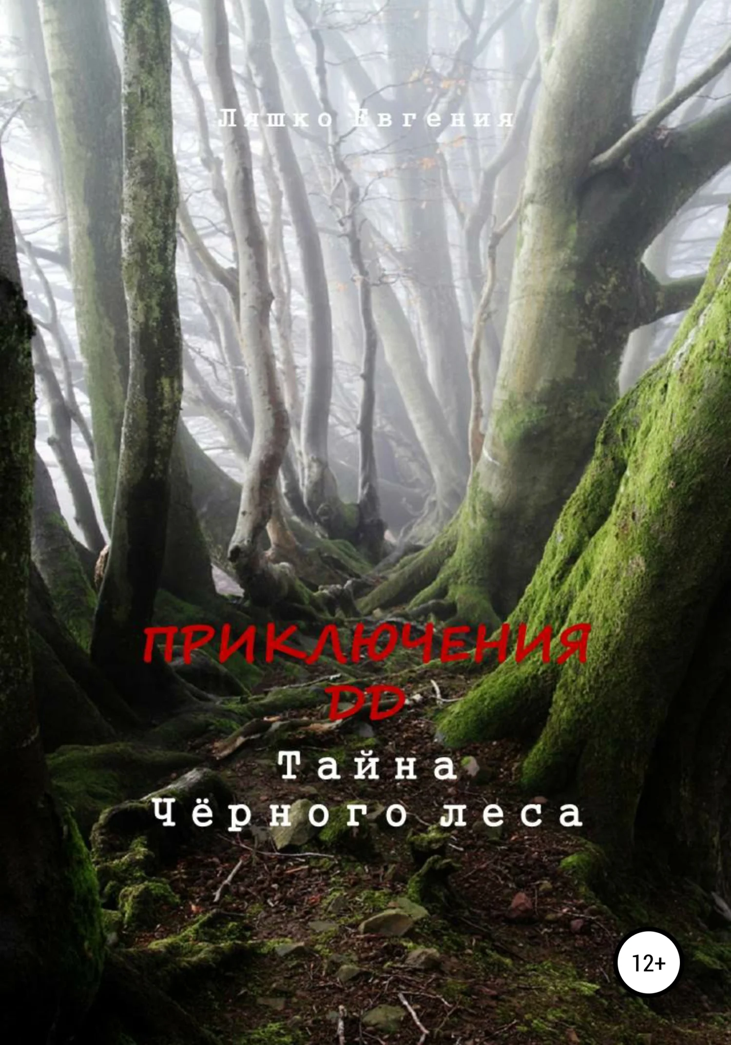 Обложка Приключения ДД. Тайна Чёрного леса