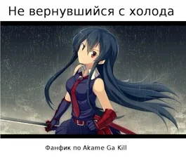 Обложка Не вернувшийся с холода