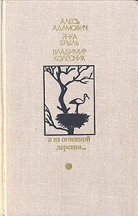 Обложка Я из огненной деревни…
