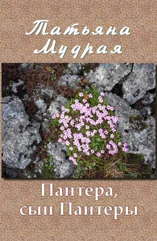 Обложка Пантера, сын Пантеры