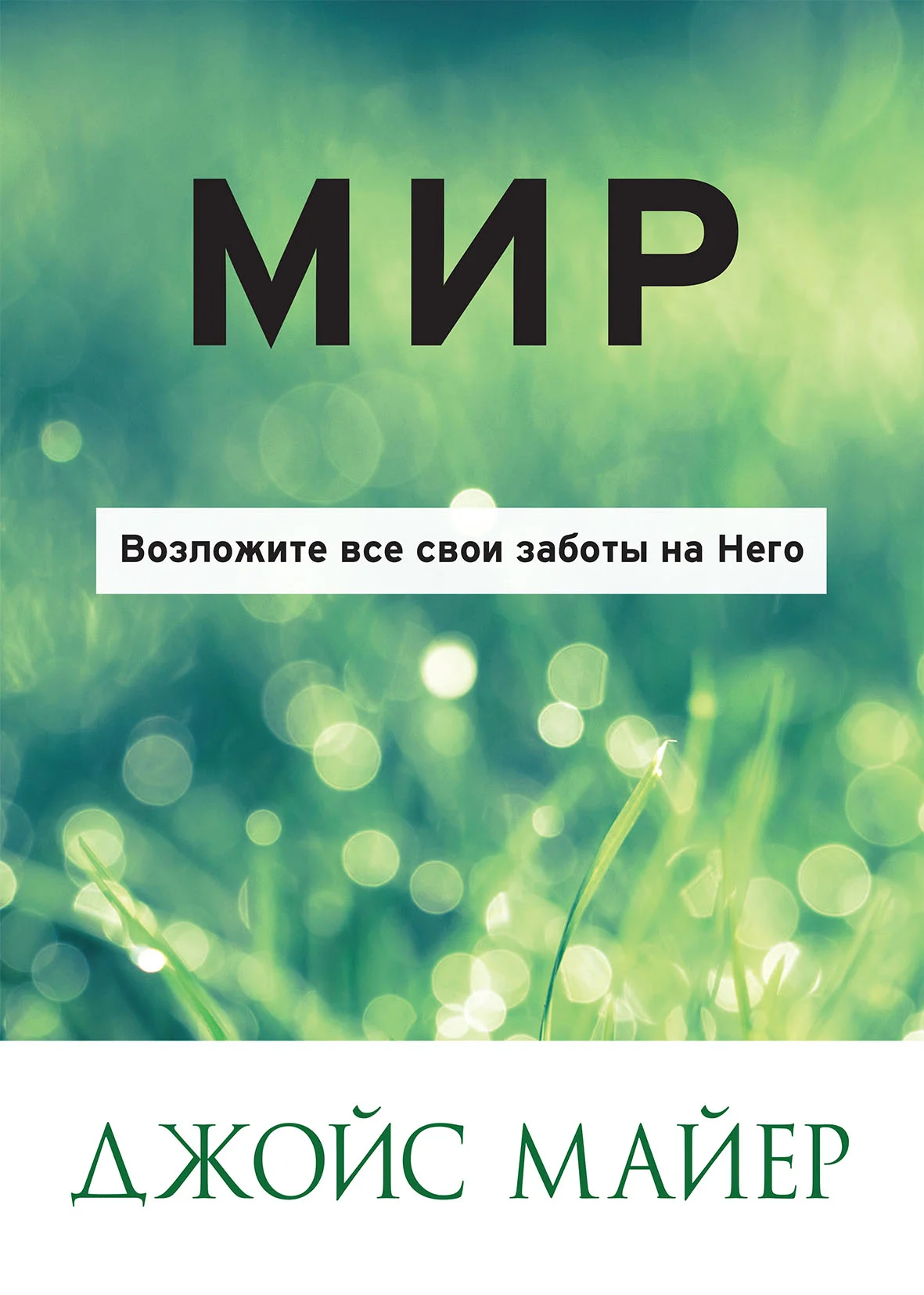 Обложка МИР