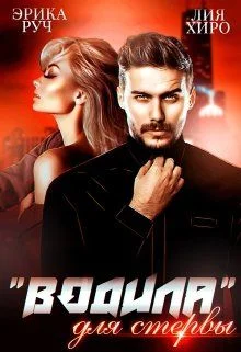 Обложка “Водила” для стервы