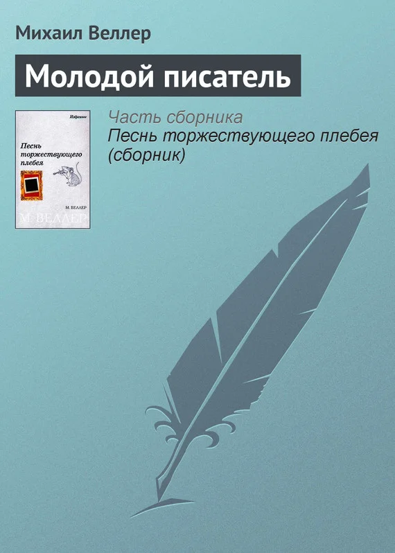 Обложка Молодой писатель