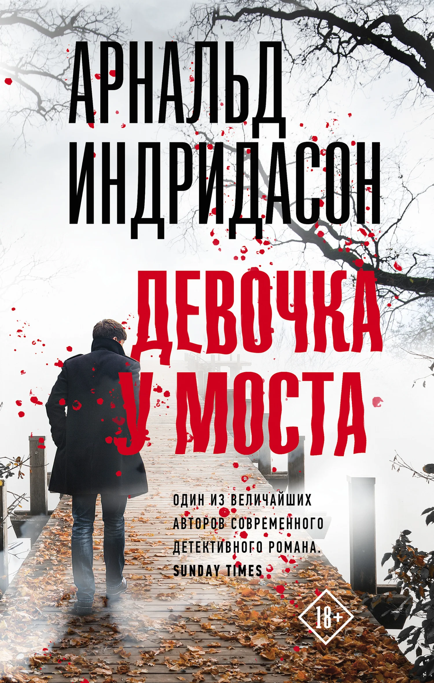 Обложка Девочка у моста