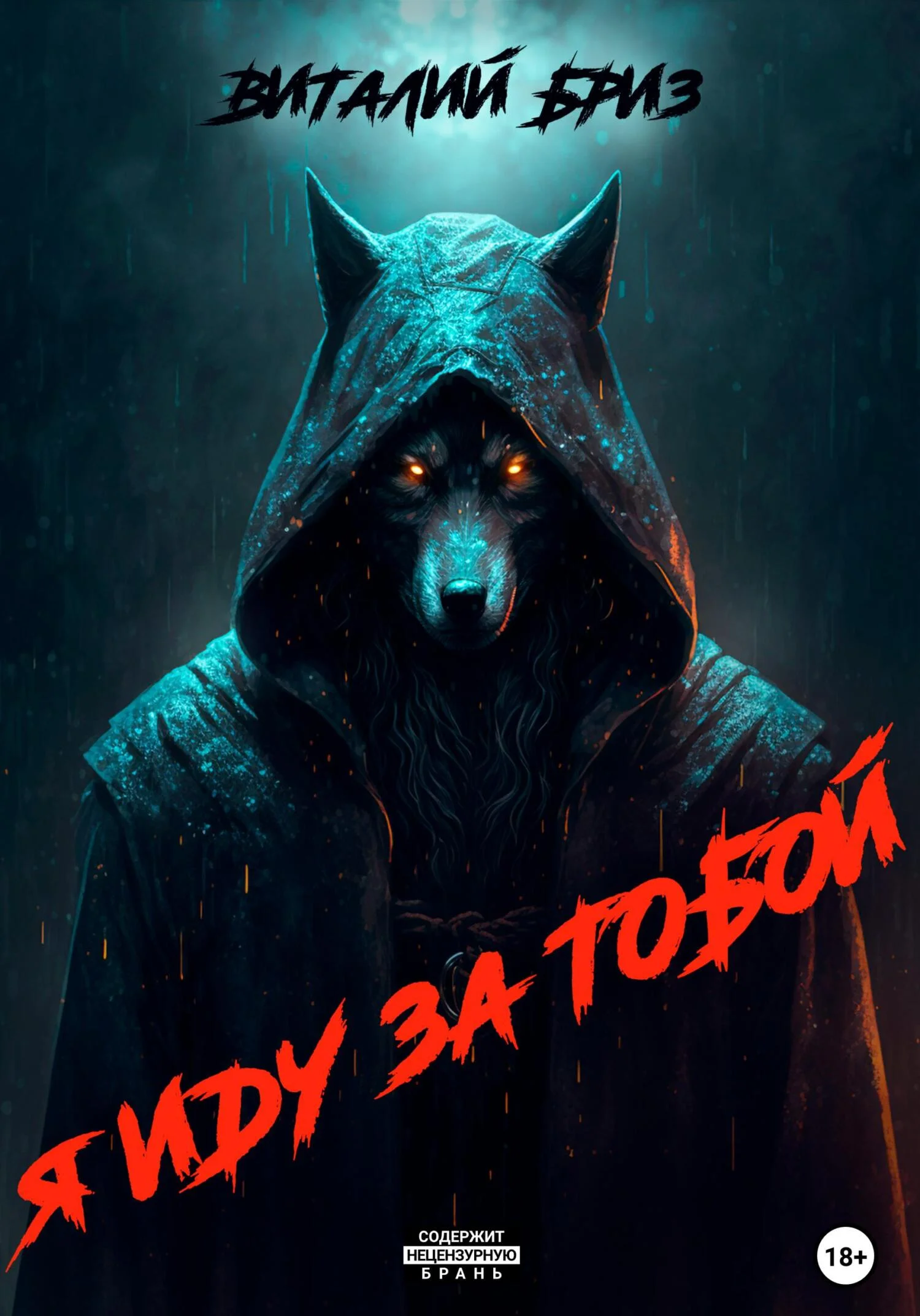 Обложка Я иду за тобой