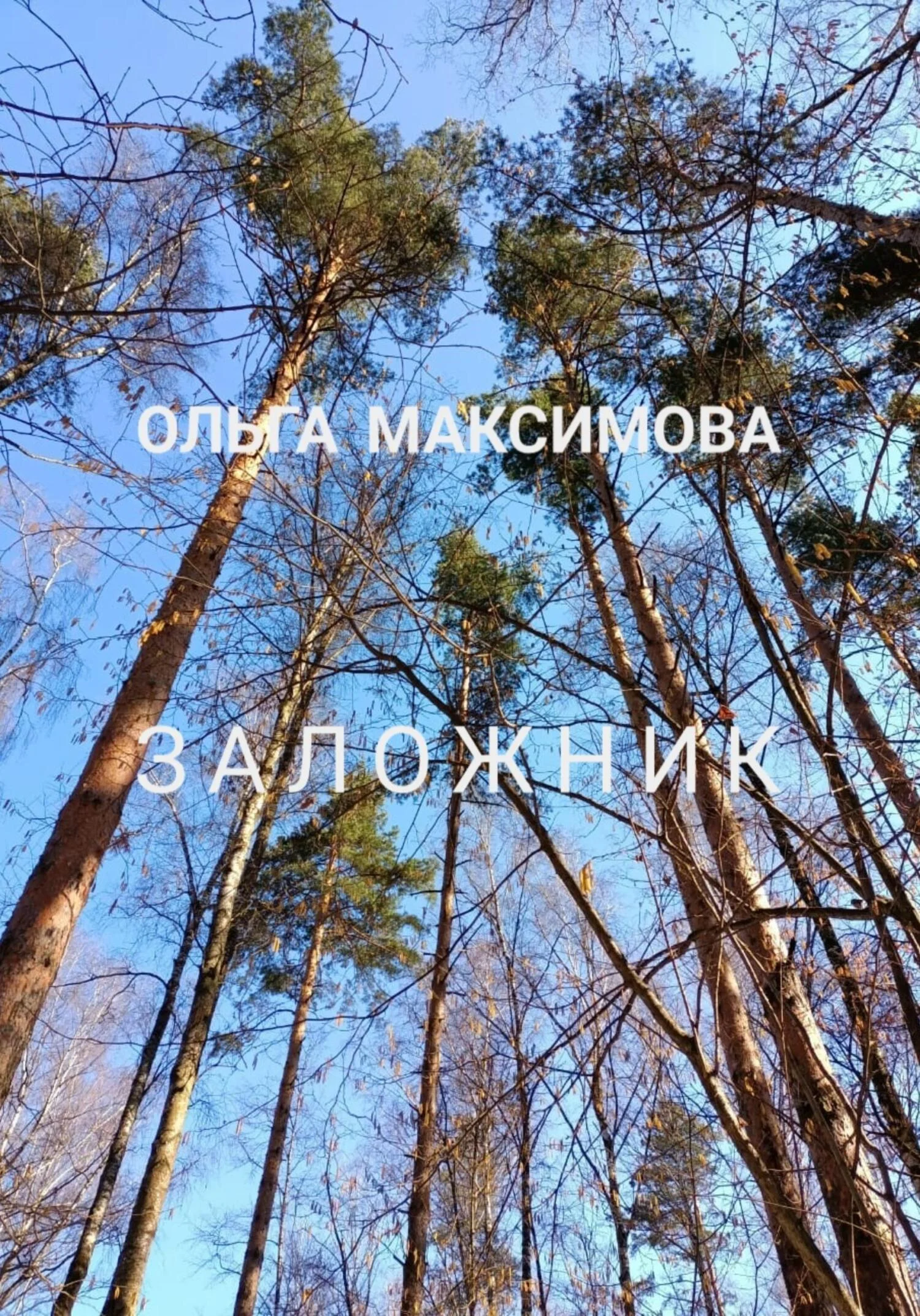 Обложка Заложник
