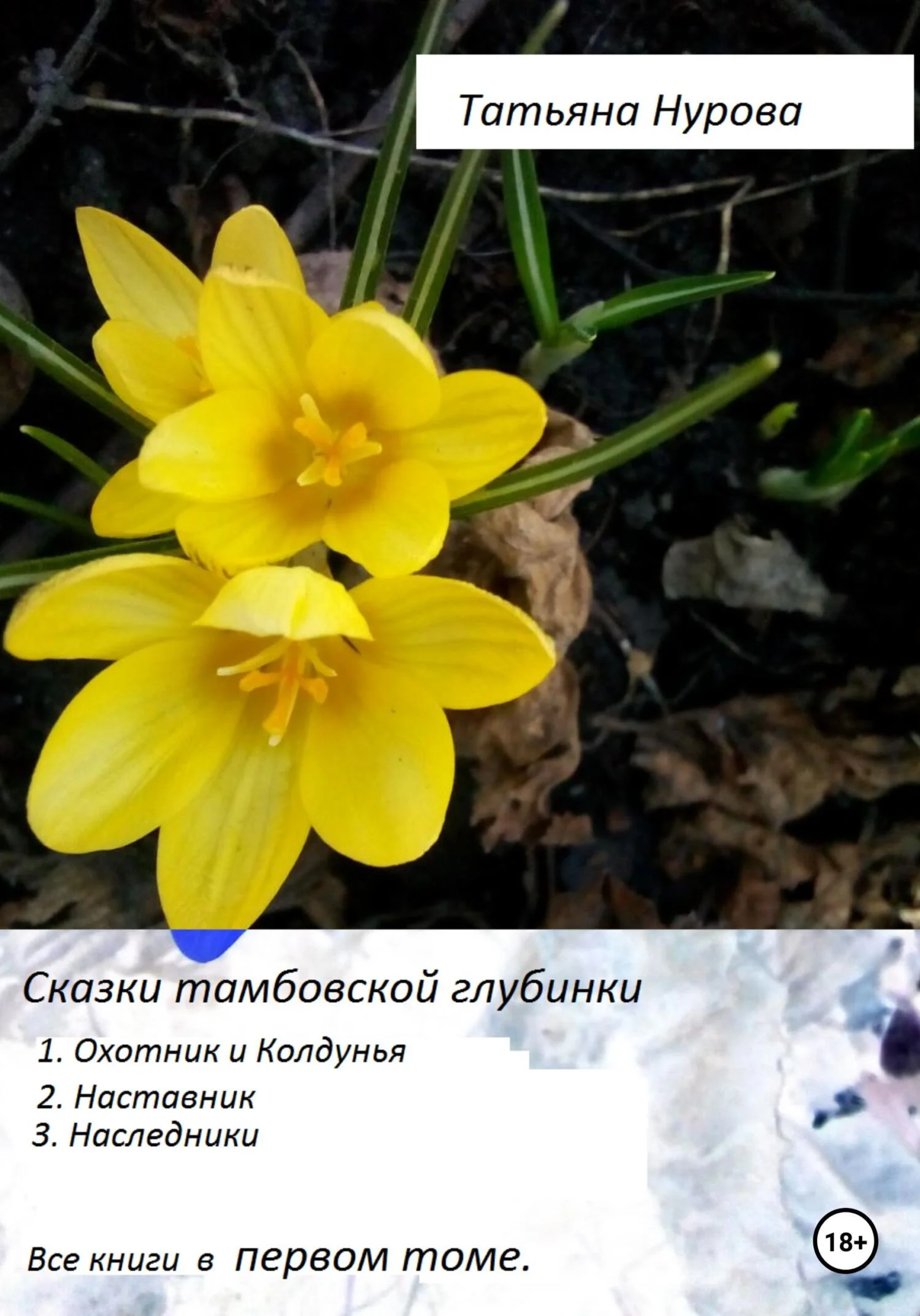 Обложка Сказки тамбовской глубинки