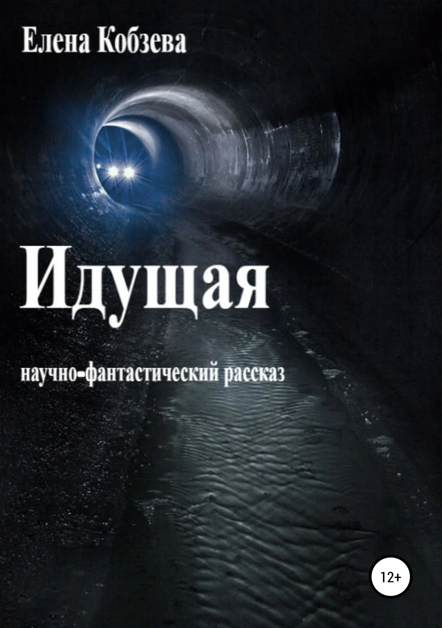 Обложка Идущая