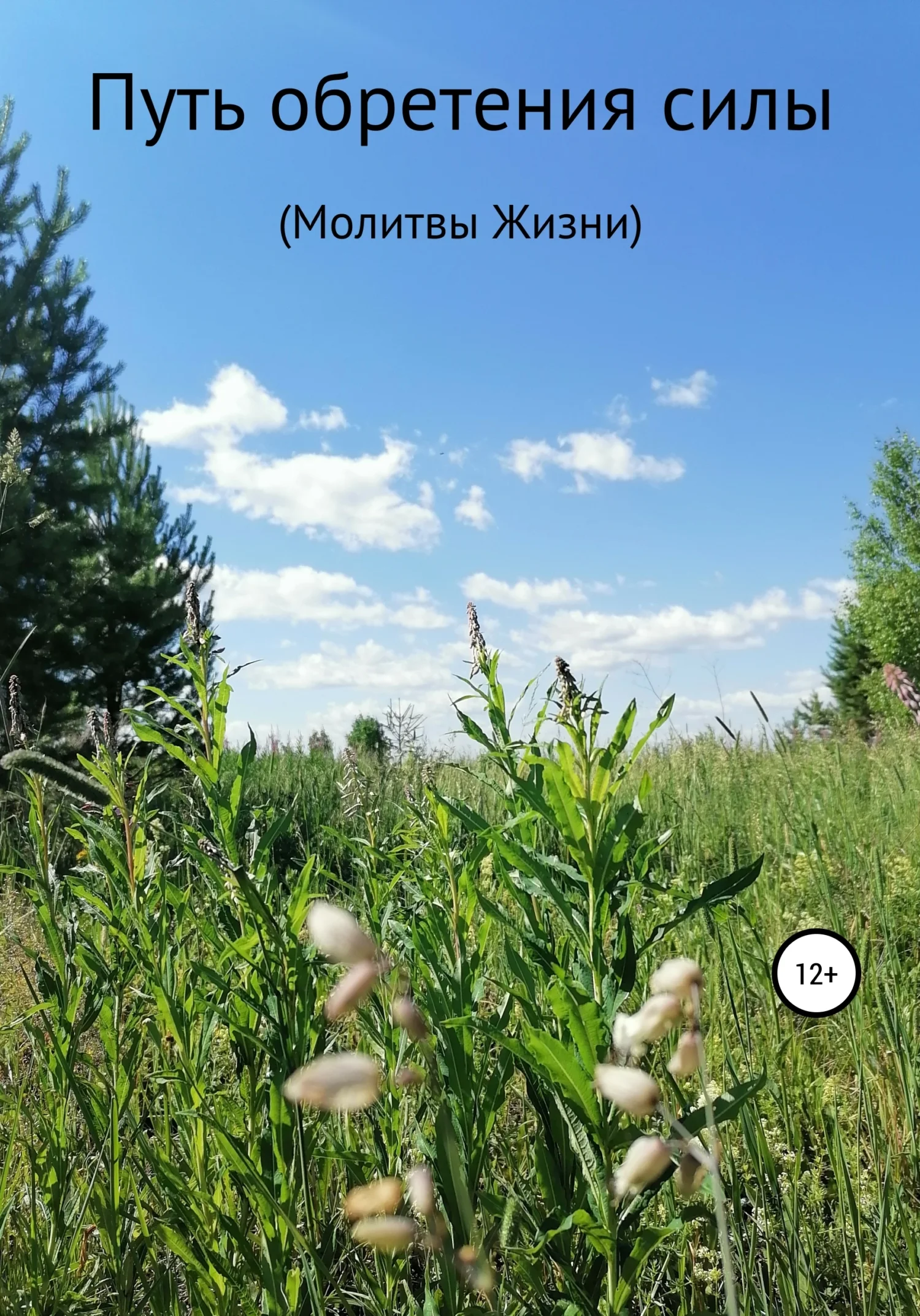 Обложка Путь обретения силы. Молитвы Жизни