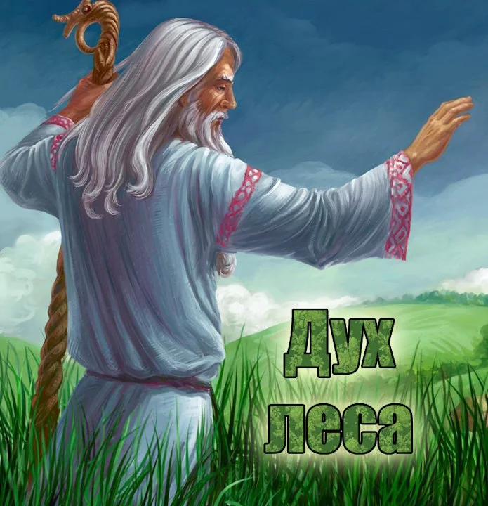 Обложка Дух леса