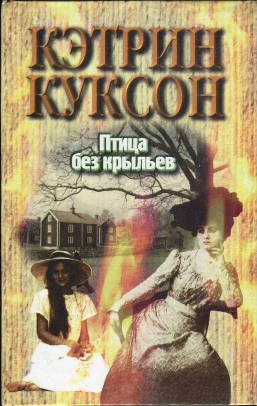 Обложка Птица без крыльев