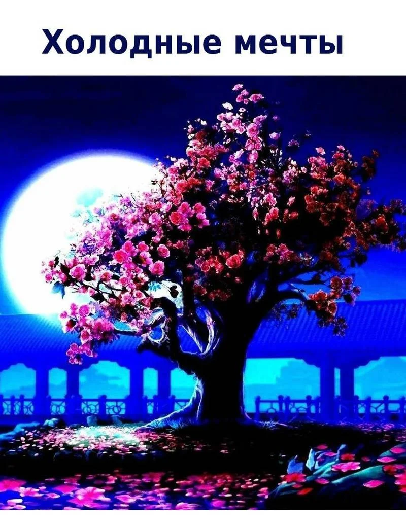 Обложка Холодные мечты [СИ]