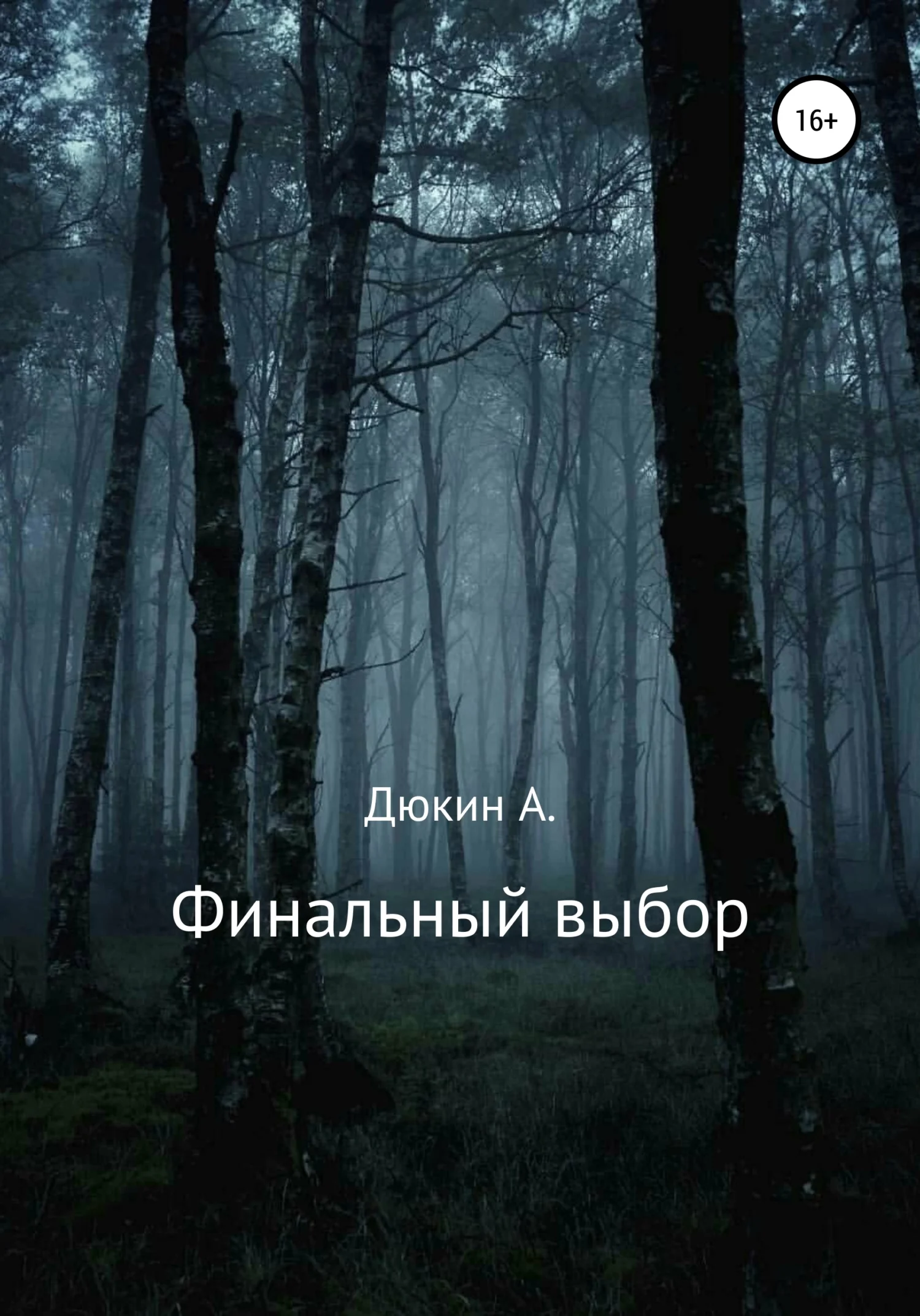Обложка Финальный выбор