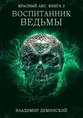 Обложка Воспитанник ведьмы