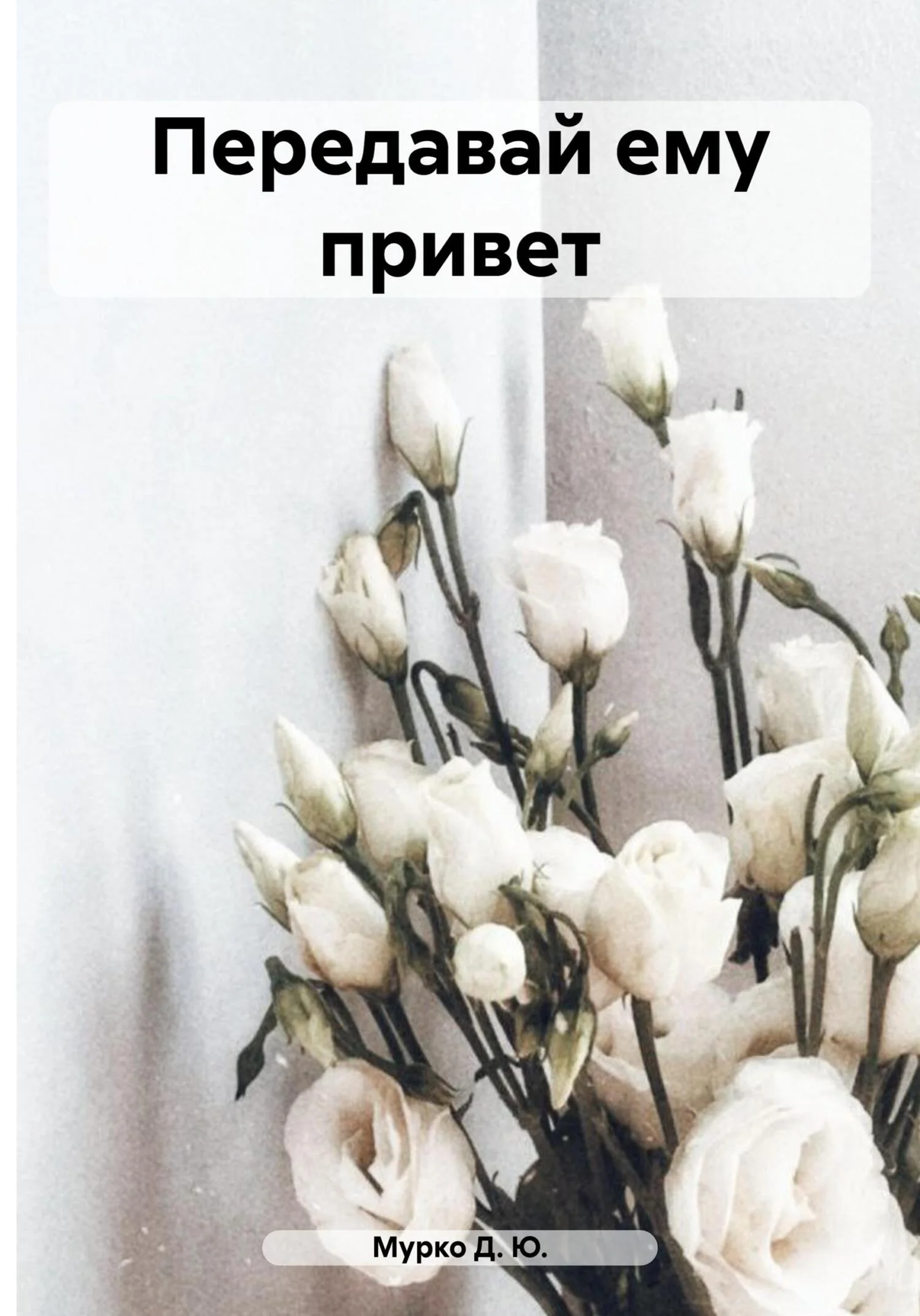 Обложка Передавай ему привет