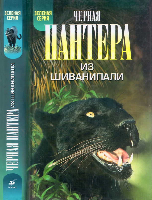 Обложка Черная пантера из Шиванипали. Дикие животные Индии