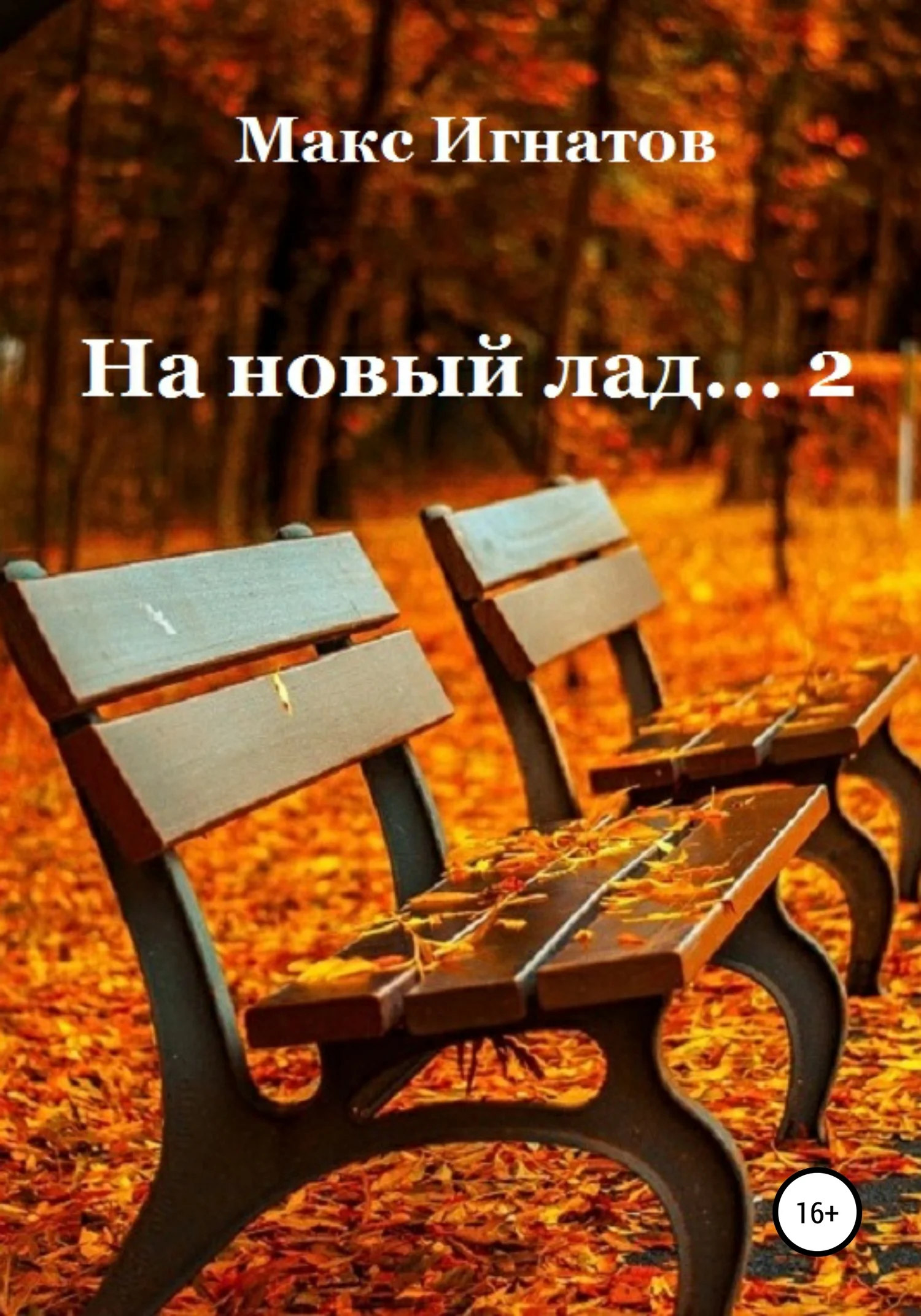 Обложка На новый лад… 2